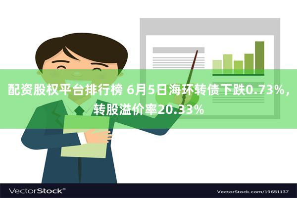 配资股权平台排行榜 6月5日海环转债下跌0.73%，转股溢价率20.33%