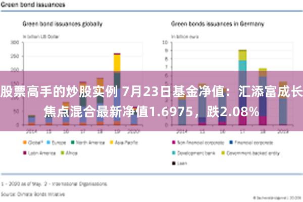 股票高手的炒股实例 7月23日基金净值：汇添富成长焦点混合最新净值1.6975，跌2.08%