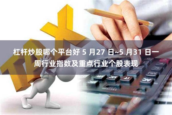 杠杆炒股哪个平台好 5 月27 日~5 月31 日一周行业指数及重点行业个股表现