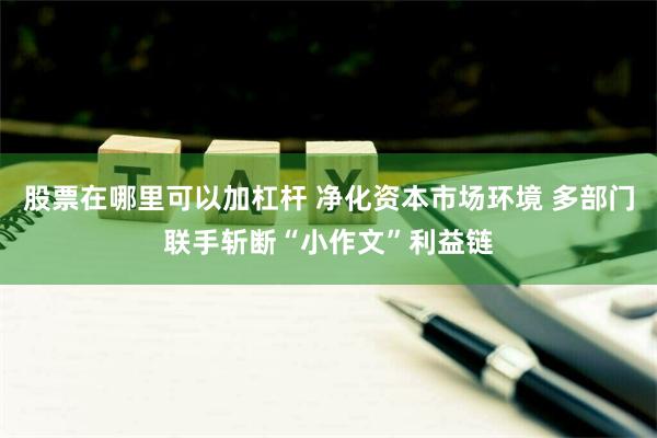 股票在哪里可以加杠杆 净化资本市场环境 多部门联手斩断“小作文”利益链