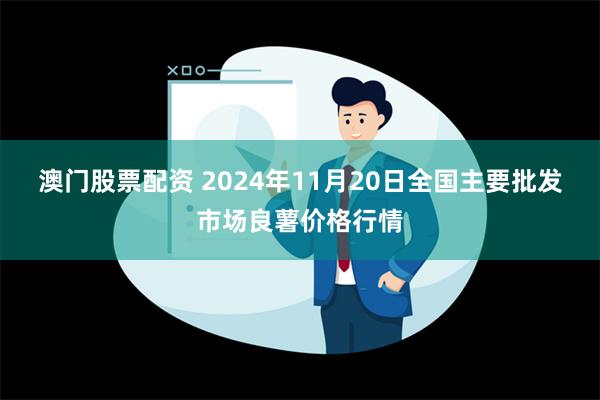 澳门股票配资 2024年11月20日全国主要批发市场良薯价格行情