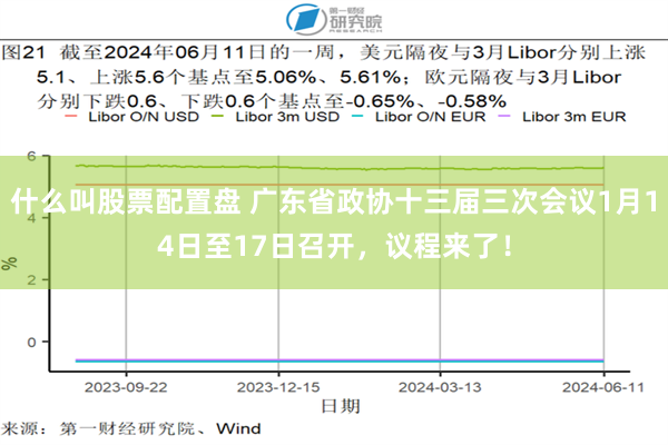 什么叫股票配置盘 广东省政协十三届三次会议1月14日至17日召开，议程来了！